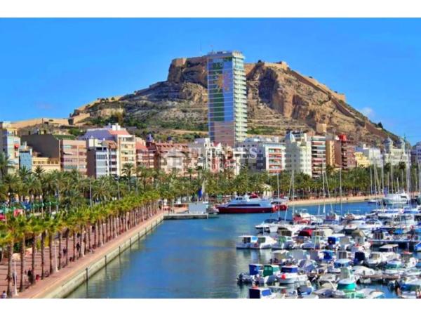 Piso en avenida General Marvá