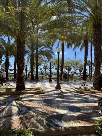 Piso en calle Castaños