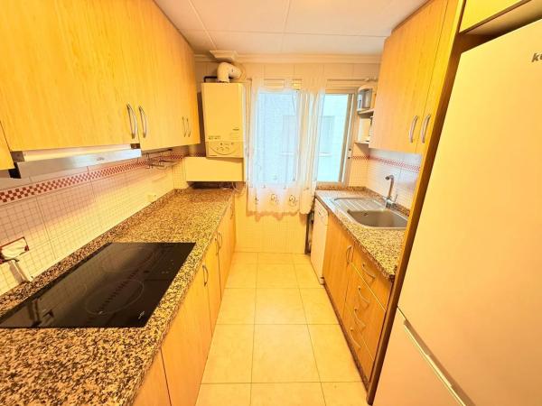 Piso en avenida Oscar Espla