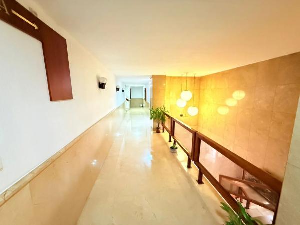 Piso en avenida Oscar Espla