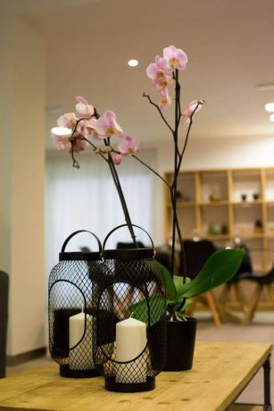 Piso en calle Arquebisbe Loaces