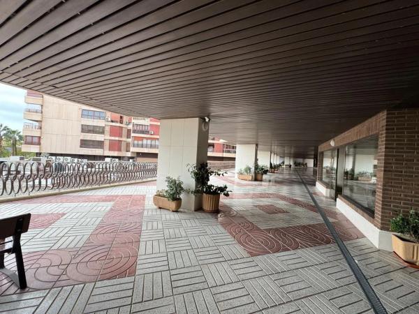 Piso en avenida Eusebi Sempere