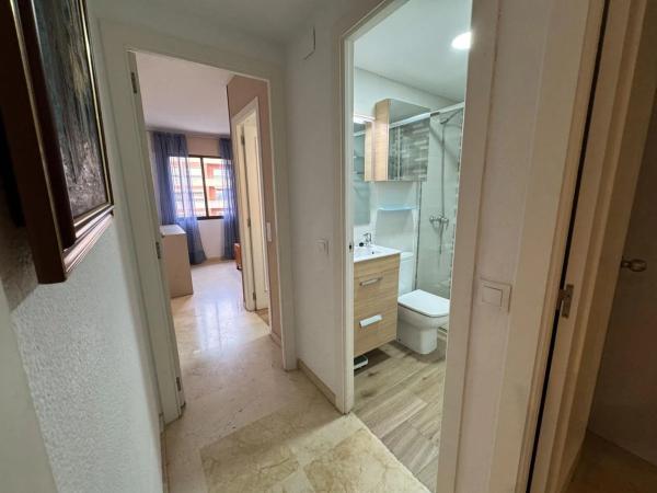 Piso en avenida Eusebi Sempere