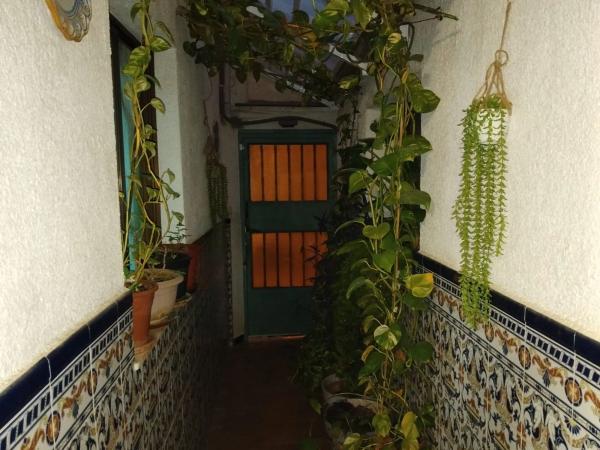 Chalet adosado en calle Ibi, 24