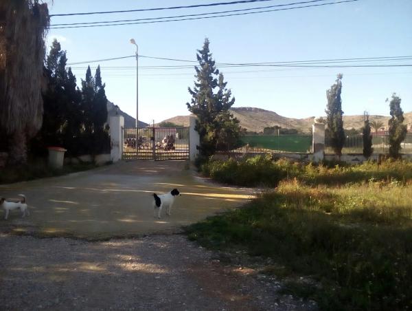 Casa independiente en avenida dels esquivadors, 29