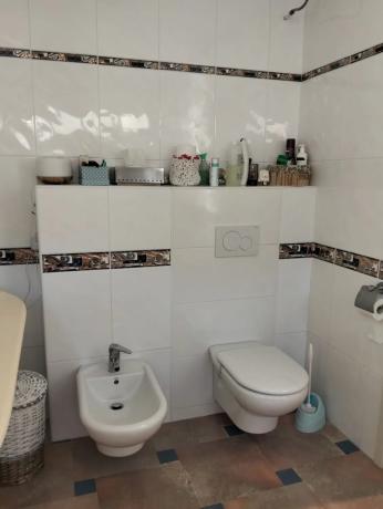 Finca rústica en camino Viejo de Elche