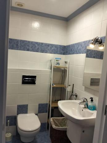 Finca rústica en camino Viejo de Elche