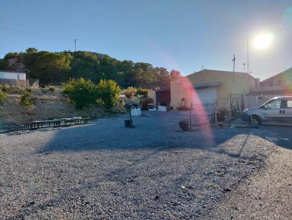 Finca rústica en camino viejo de Elche, 71