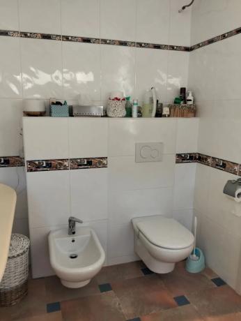 Finca rústica en camino viejo de Elche, 71