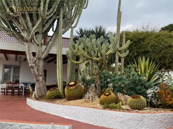 Casa independiente en camino de los Picapiedra