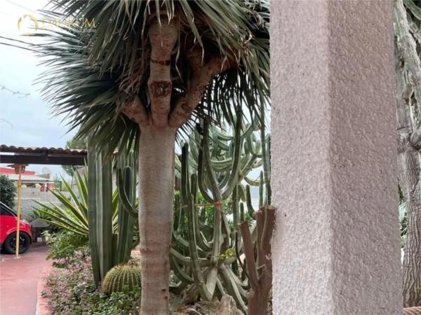 Casa independiente en camino de los Picapiedra