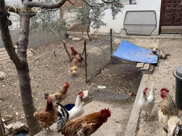 Casa independiente en camino de los Picapiedra