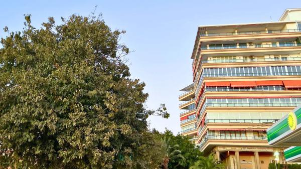 Piso en avenida de Dénia