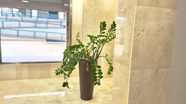 Piso en calle del Padre Arrupe