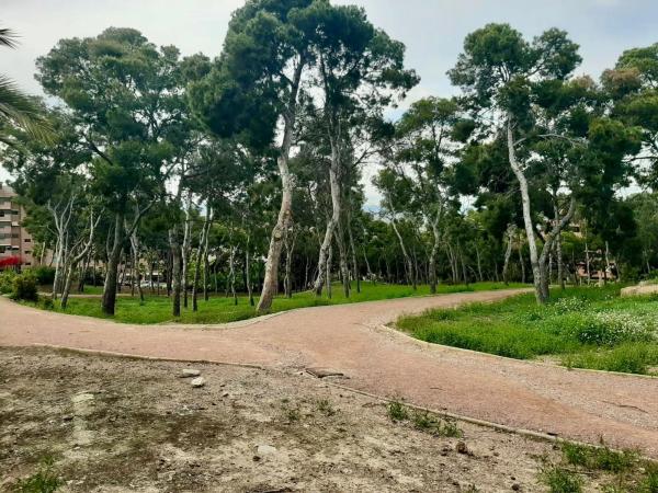 Piso en calle Madre Teresa de Calcuta, 4