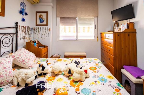 Piso en calle Doctor José Luis de la Vega