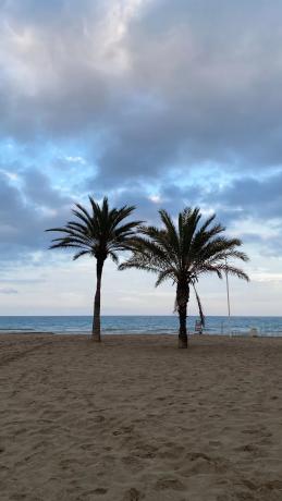 Piso en avenida Bruselas, 19