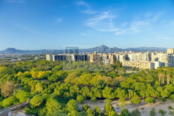 Piso en avenida Oviedo