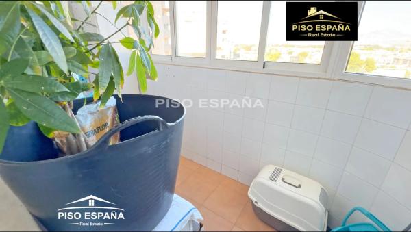 Piso en glorieta Deportista Sergio Cardell