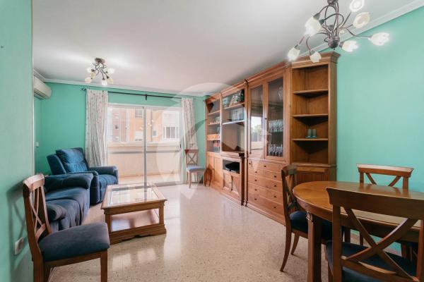 Piso en avenida Esportista Miriam Blasco