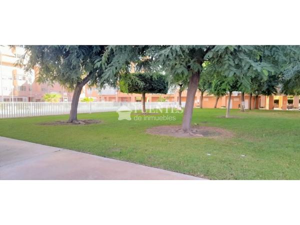 Piso en avenida Pintor Fernando Soria