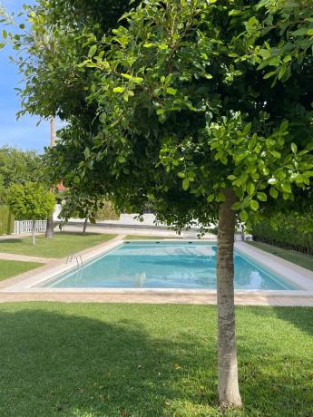 Chalet adosado en C/de la boga, 4