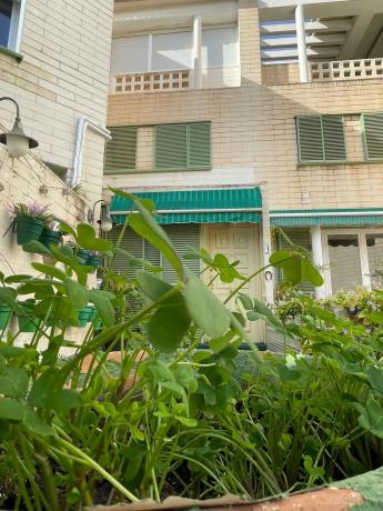 Chalet adosado en C/de la boga, 4