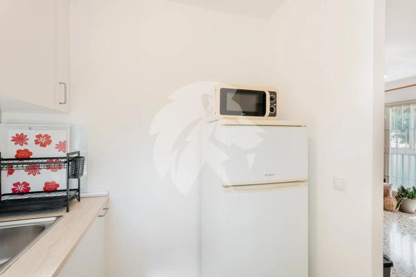 Piso en calle Músico Vicente Spiteri