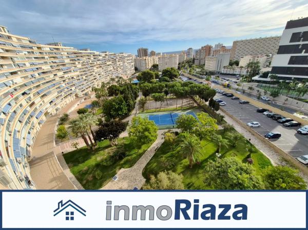 Estudio en avenida Benidorm