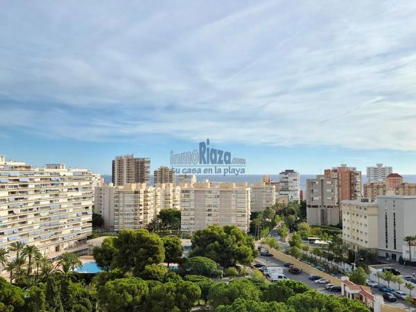 Estudio en avenida Benidorm