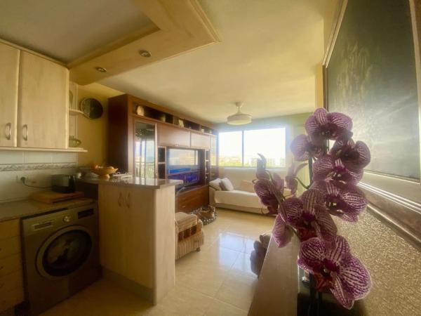 Piso en avenida Oviedo, 10