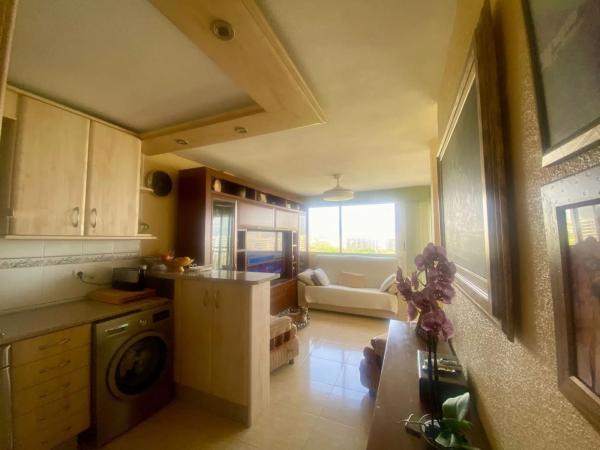 Piso en avenida Oviedo, 10