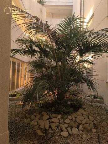 Piso en avenida Pintor Fernando Soria