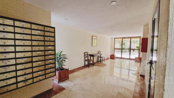 Piso en calle Palas Atenea