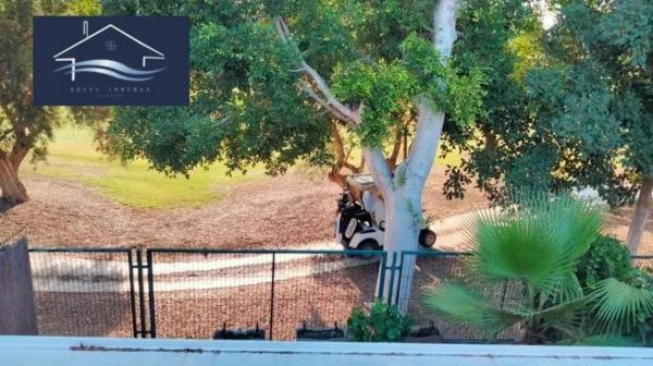 Chalet adosado en calle Juana Francés