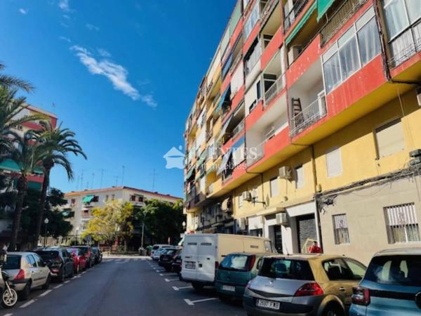 Piso en calle Maestro Luis Torregrosa