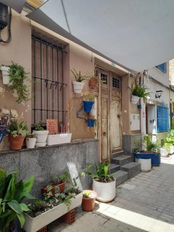 Chalet adosado en CL Nicasio Camilo Jover, 5