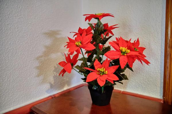 Chalet adosado en calle Ceuta