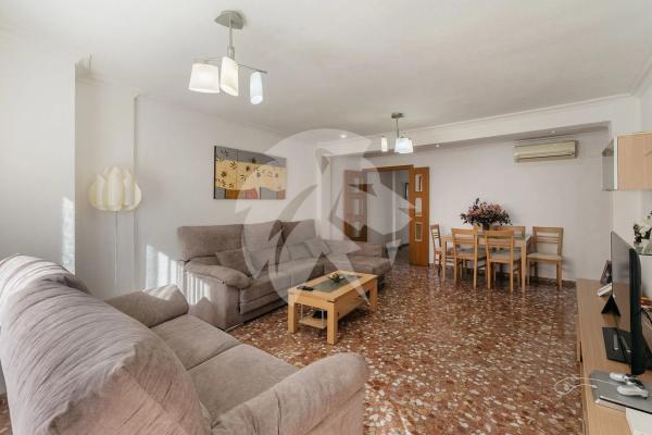 Piso en calle Carlota Pasaron