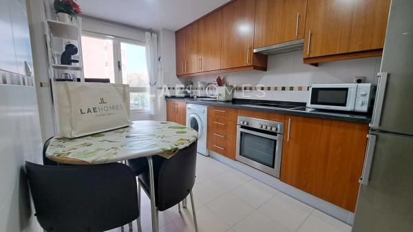 Piso en avenida Médico Ricardo Ferre