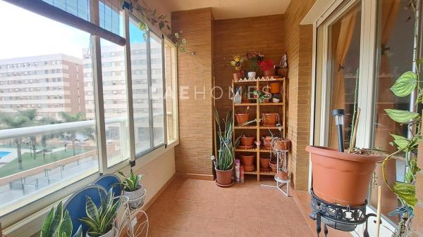 Piso en avenida Médico Ricardo Ferre