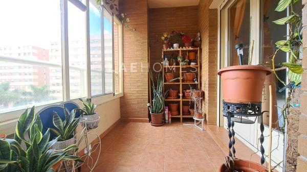 Piso en avenida Médico Ricardo Ferre