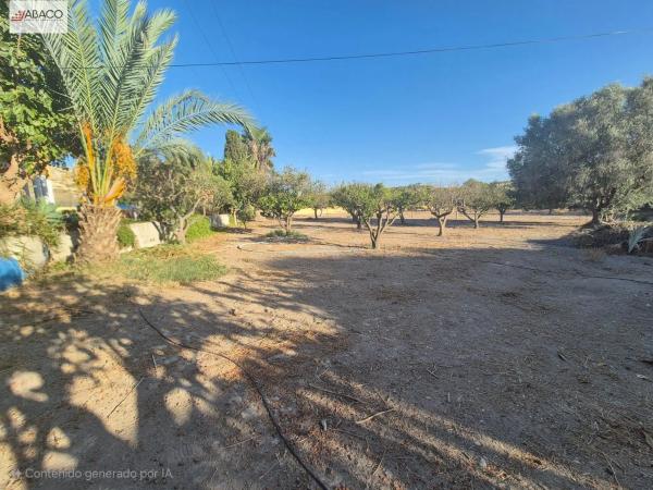 Casa independiente en camino Viejo de Santa Faz