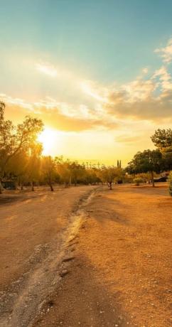 Piso en calle Pintor Pedro Camacho
