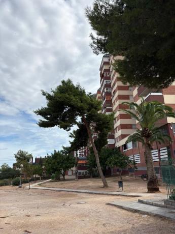 Piso en calle Pintor Pedro Camacho