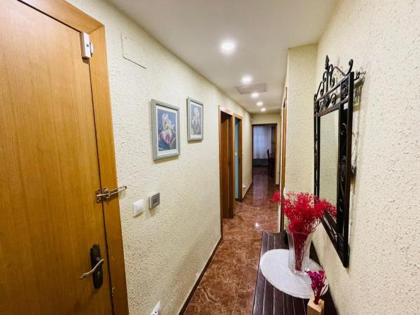 Piso en avenida Pintor Gastón Castelló