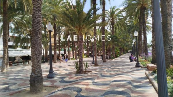 Piso en Barrio Carolinas Bajas