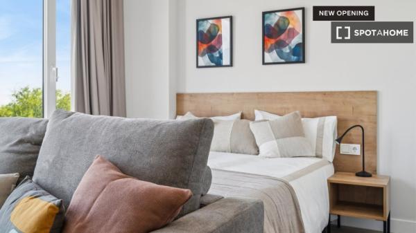 Whole studio in Madrid