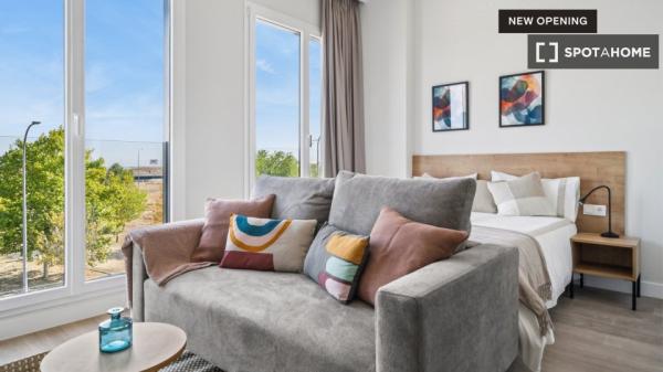 Whole studio in Madrid