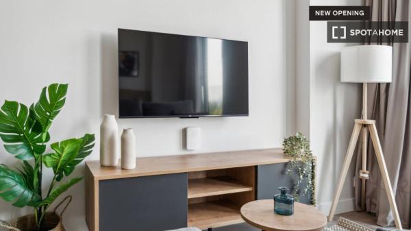 Whole studio in Madrid